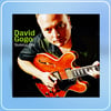 David Gogo - Skeleton Key CD