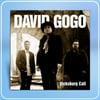 David Gogo - Vicksburg Call CD