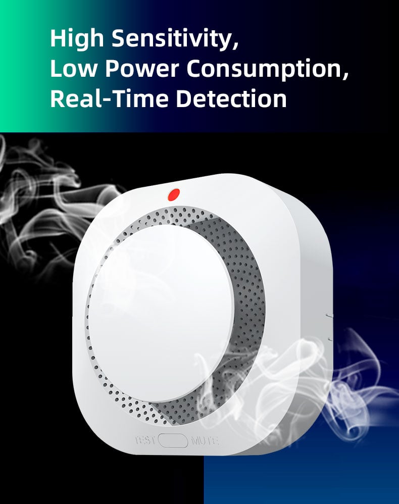 Independent Smoke Alarm Fire Protection Smokehouse Home Security System Smoke Detector