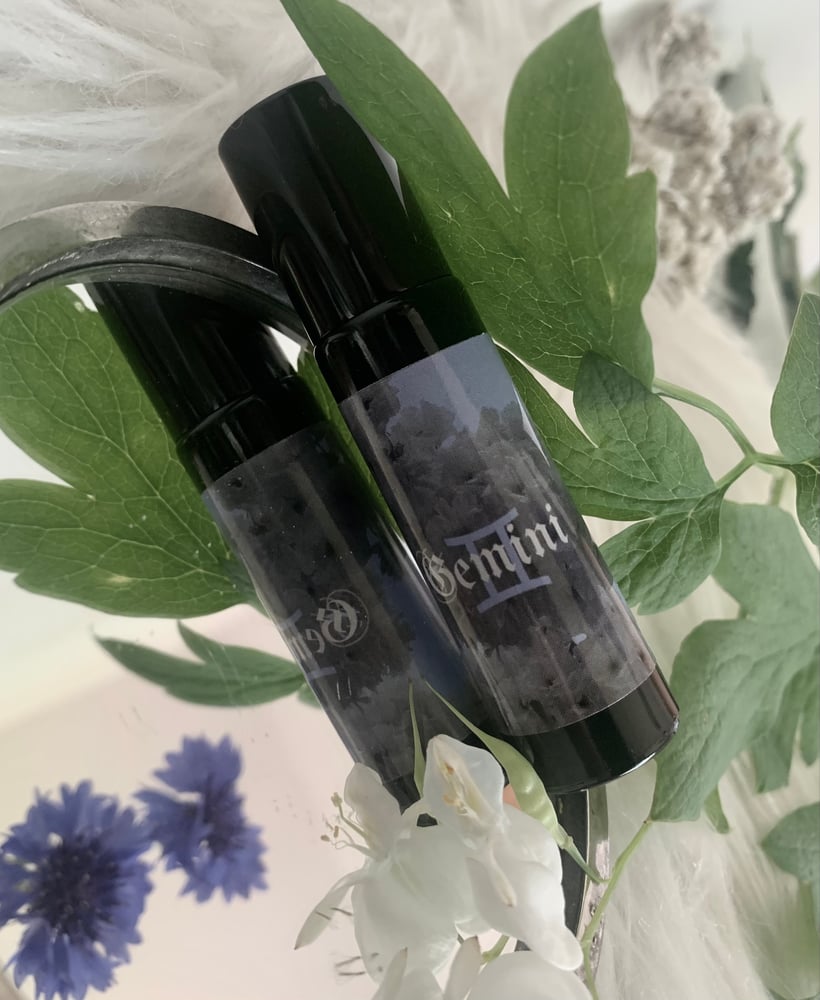 Image of Gemini Perfume Oil (Palo santo, Lavender Absolute, Mimosa)