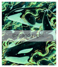 Aurora Orcas Print