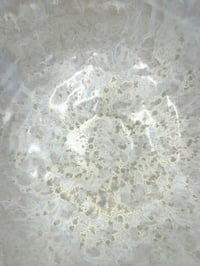 Image 4 of Mother-of-pearl Bird Bath 