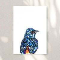 Image 1 of Beautiful Brazilian Passaros Print