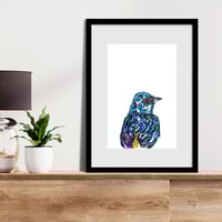 Image 2 of Beautiful Brazilian Passaros Print