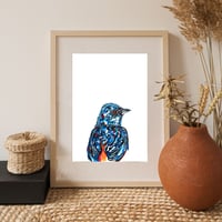 Image 6 of Beautiful Brazilian Passaros Print