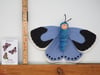 Holly Blue Butterfly  Doll
