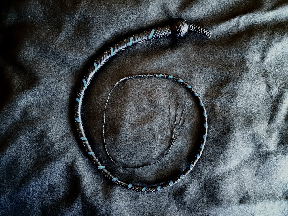 Image of Signal Whip "Classique" noir et bleu 120 cm (4ft)