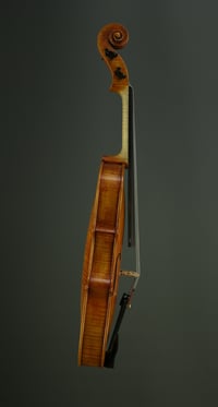 Image 4 of Master Viola  №17  2017