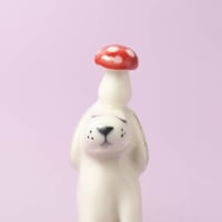 Image 2 of Bantu 🍄
