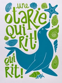 Image 1 of Une otarie qui rit qui rit !