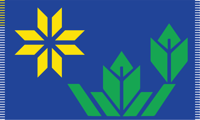 "Ojibwe Loom" Minnesota Finalist Flag