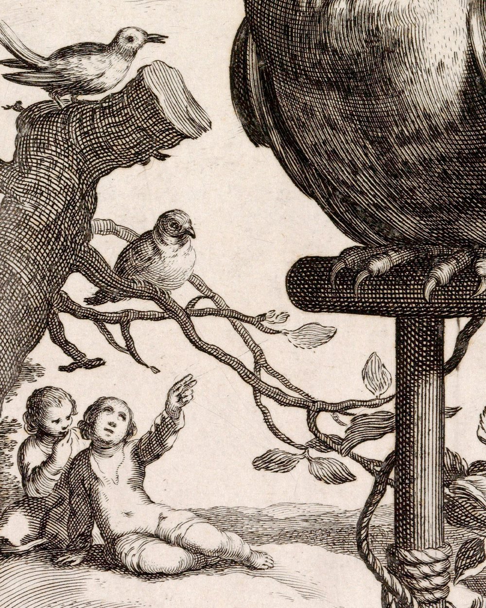 ''Rustende uil'' (1625)