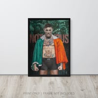 Image 2 of Conor McGregor