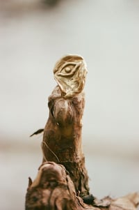 Image 1 of Half Mask