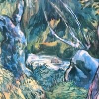 Image 2 of the mouth (forest swimmer)