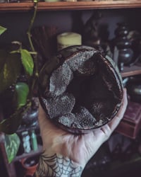 Image 7 of Septarian 