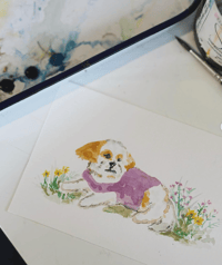 Image 3 of Custom Watercolor Pet Portrait