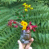 Image 1 of Wood fired bud vase #1