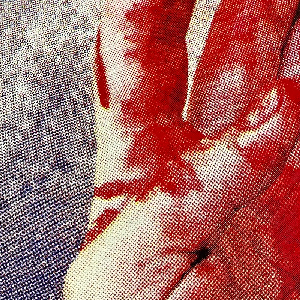 Image of 'cut hand' print