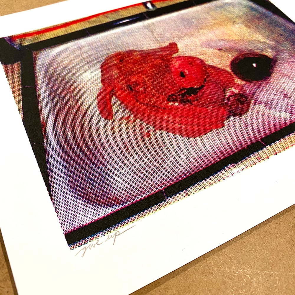 Image of 'pig head' print