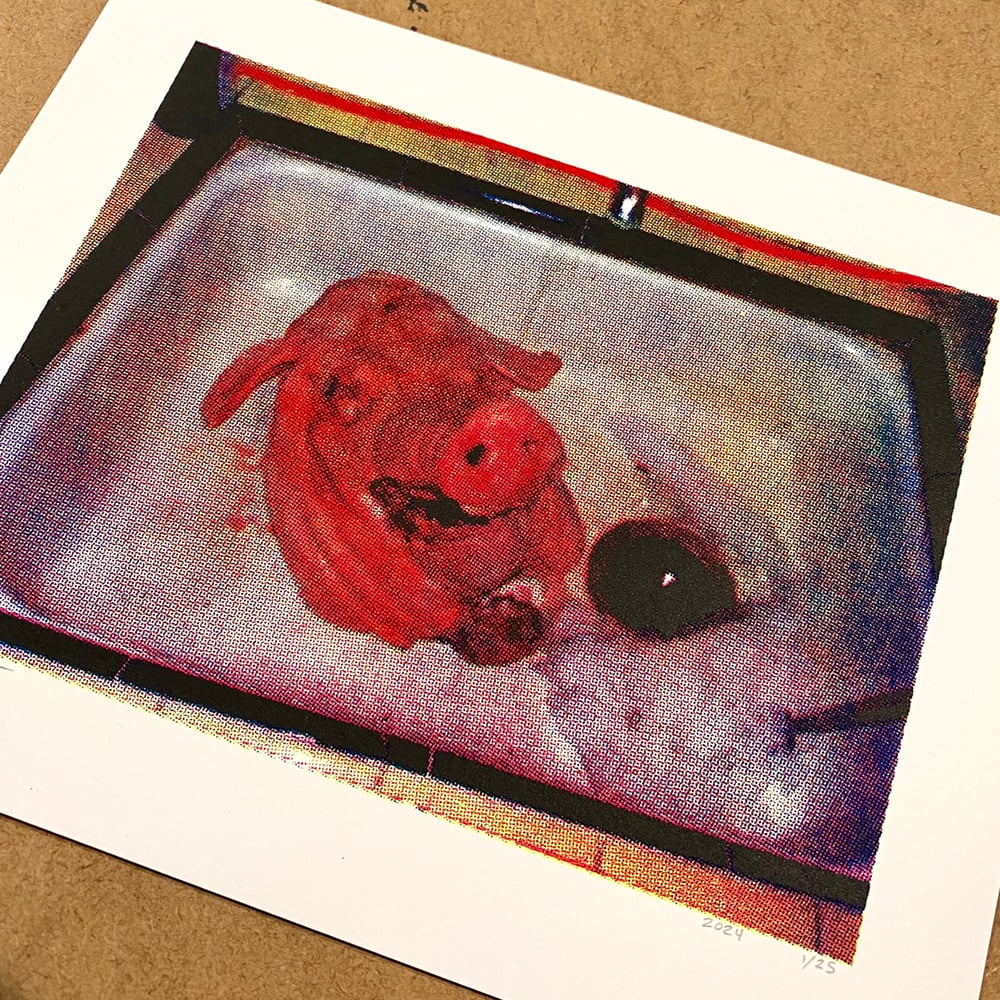 Image of 'pig head' print