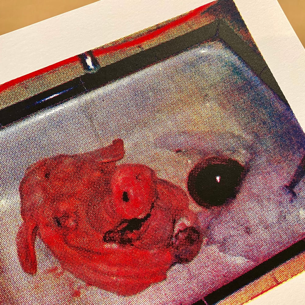 Image of 'pig head' print