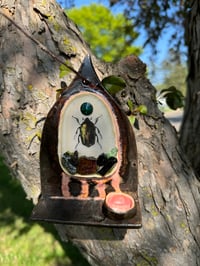 Image 1 of Ceramic Beetle Diorama Wall Shelf, Wall Alter, Mini Shelf, Crystals Shelf, Shrine, Bug 