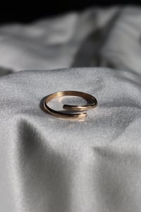 Image 1 of Wrapped in Gold
