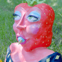 Image 3 of Francis The Strawberry