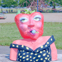 Image 4 of Francis The Strawberry