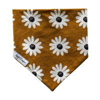 Dog Bandana - Caramel Toffee