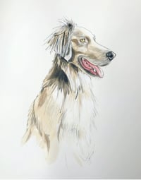 Image 4 of Custom Pet Portraits