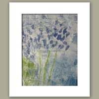 Wild Violets