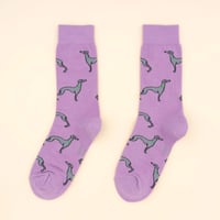 Image 1 of WHIPPET SOCKS