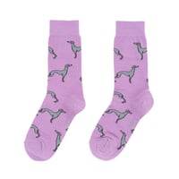 Image 5 of WHIPPET SOCKS