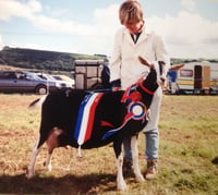 Image 5 of Show preparation and ring craft for beginners 11th May 2025 Bodmin Cornwall