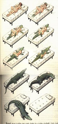Image 2 of Alligator Pairs