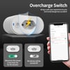 TNCE Tuya MSL Plug 16/20A adapter, WIFI or zigbee socket with Power Monitor, Smart outlet control