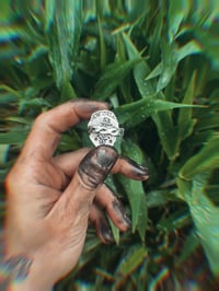 Image 2 of Marie Laveau Reverence