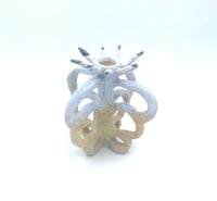 Image 1 of Fleur Bleue