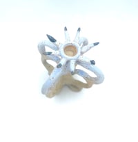 Image 2 of Fleur Bleue