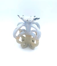 Image 4 of Fleur Bleue