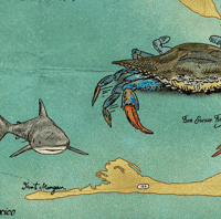 Image 2 of Mobile Bay Print
