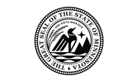 Image 14 of Minnesota State Seal Flag (14 styles)
