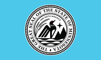 Image 9 of Minnesota State Seal Flag (14 styles)