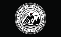 Image 13 of Minnesota State Seal Flag (14 styles)