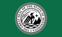 Image 11 of Minnesota State Seal Flag (14 styles)