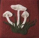 Image 1 of Mushrooms