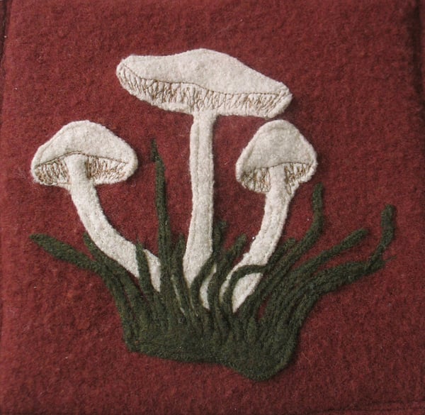 Image of Mushrooms