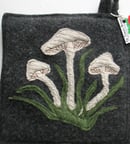 Image 2 of Mushrooms